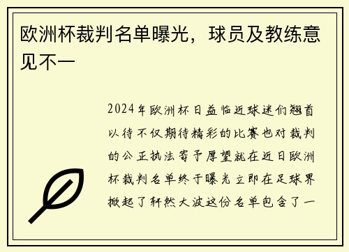 欧洲杯裁判名单曝光，球员及教练意见不一